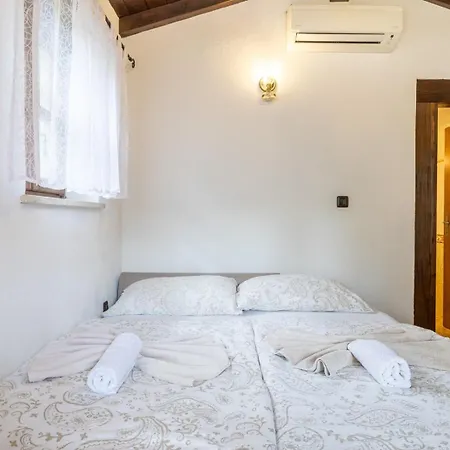 Mirjana Gasthuis Matohanci